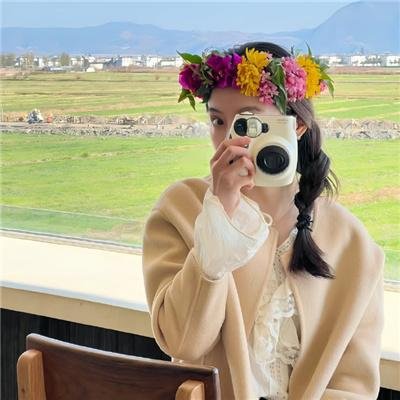 蛊惑狗寻宝